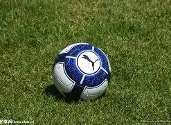 董子健与倪,妮床上场景,引热议,金年会,金年会官方网站,金年会平台,金年会jinninhui