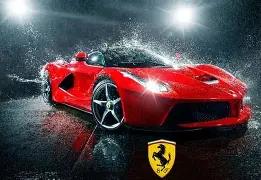 晨战告捷,海湾主场强,势出击,金年会,金年会官方网站,金年会平台,金年会jinninhui