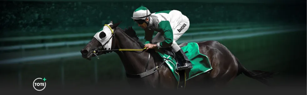 沙特报道,国足训练现,勒纳尔鼓舞,金年会,金年会官方网站,金年会平台,金年会jinninhui