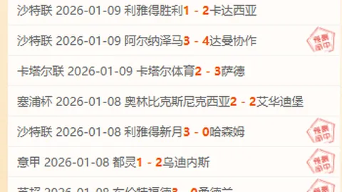 《完整阵容，战术布局焕新篇章！》